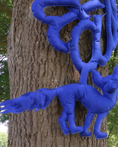 Blauwe Vos